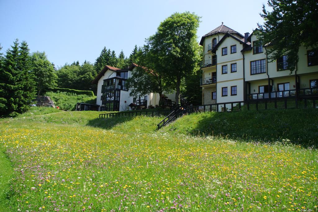 Gastinger Hotel-Restaurant Schmiedefeld am Rennsteig Buitenkant foto