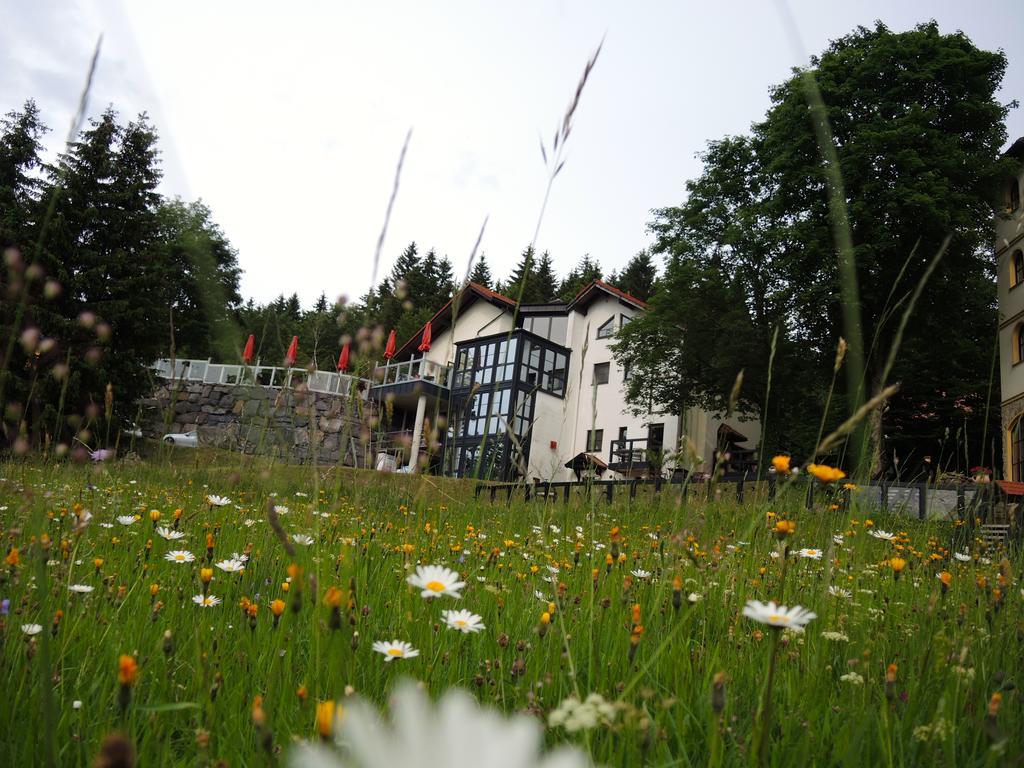 Gastinger Hotel-Restaurant Schmiedefeld am Rennsteig Buitenkant foto